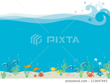Vector illustration of an ocean full of fish Vector illustration of an ocean full of fish 113647443
