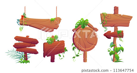 Forest wood sign board frame for game cartoon 113647754
