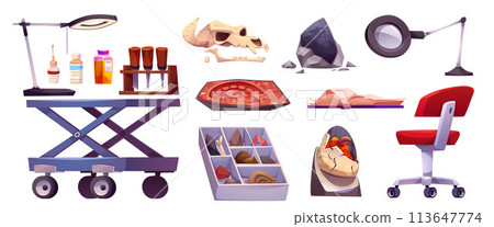 Fossil lab and paleontology cabinet elements. 113647774