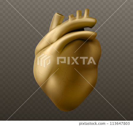 Golden human heart sculpture model. 113647803