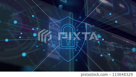 Image of network of connections and digital icon on interface Image of network of connections and digital icon on interface 113648329