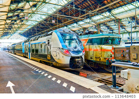Gare de Lyon Train station in Paris. Gare de Lyon Train station in Paris. 113648403