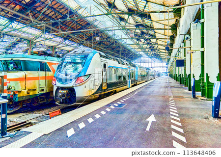 Gare de Lyon Train  station in Paris. 113648406