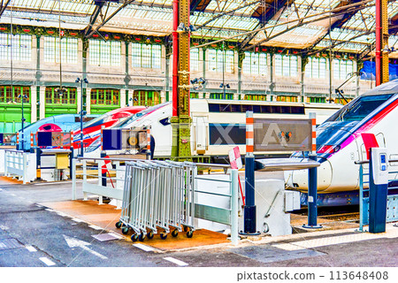 Gare de Lyon Train station in Paris. Gare de Lyon Train station in Paris. 113648408