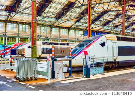 Gare de Lyon Train  station in Paris. 113648410