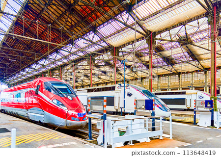 Gare de Lyon Train station in Paris. Gare de Lyon Train station in Paris. 113648419