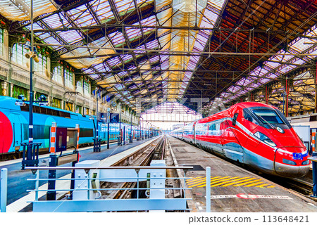 Gare de Lyon Train station in Paris. Gare de Lyon Train station in Paris. 113648421