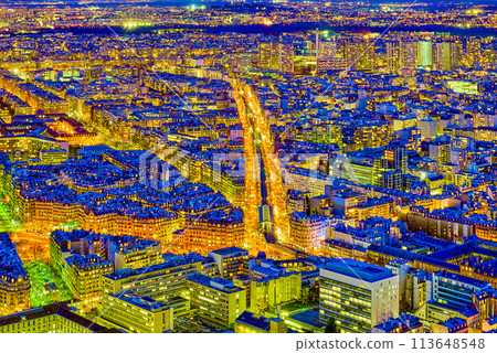 View from the Montparnasse tower on Paris in early spring. 113648548