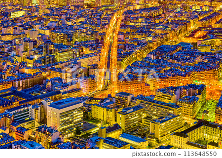 View from the Montparnasse tower on Paris in early spring. 113648550