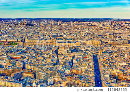 View from the Montparnasse tower on Paris in early spring. View from the Montparnasse tower on Paris in early spring. 113648563