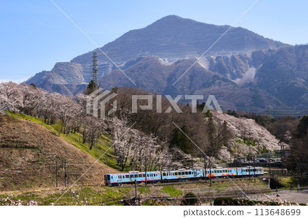 Seibu Chichibu Line: 52 seats of bliss with the cherry blossoms and Mount Buko in the background Seibu Chichibu Line: 52 seats of bliss with the cherry blossoms and Mount Buko in the background 113648699