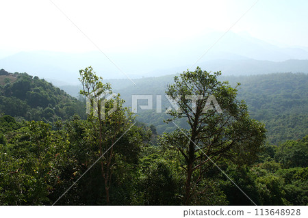 Greenery Clad Mountains of Kodagu Greenery Clad Mountains of Kodagu 113648928