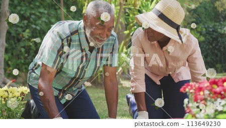 Image of roses over happy adult african american daughter gardening with her father Image of roses over happy adult african american daughter gardening with her father 113649230