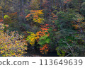The autumn scenery of Nishizawa Valley and the flowing river 113649639