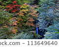 The autumn scenery of Nishizawa Valley and the flowing river 113649640