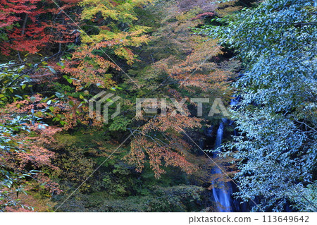 The autumn scenery of Nishizawa Valley and the flowing river 113649642
