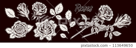 Clip art with contour roses, leaves white on black Clip art with contour roses, leaves white on black 113649650
