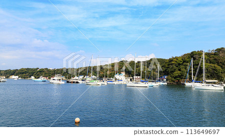 Blue sky and blue sea (Koajiro Bay) 113649697