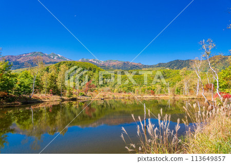 （長野縣）乘鞍高原、一之瀨庭園、舞門池秋葉 113649857