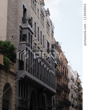 Facade of palace in European Barcelona city in Spain - vertical 113649943