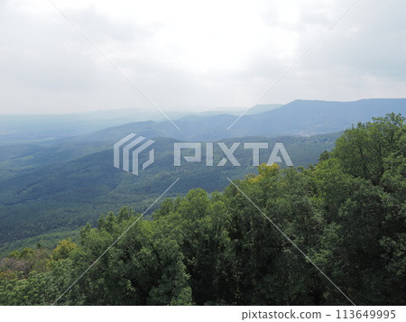 View from Koenigsbourg castle in Alsace in France 113649995