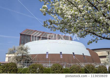 倉吉市四甲館梨花盛開 113650609
