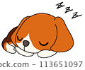 狗（比格犬）獨自睡覺 113651097