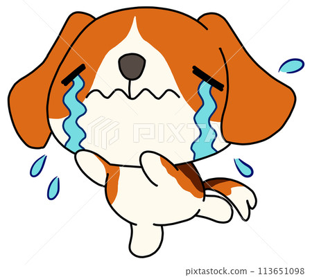 狗（比格犬）獨自哭泣 113651098