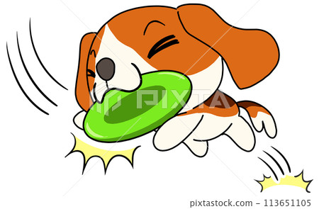 Dog (Beagle) Single Frisbee Catch 113651105