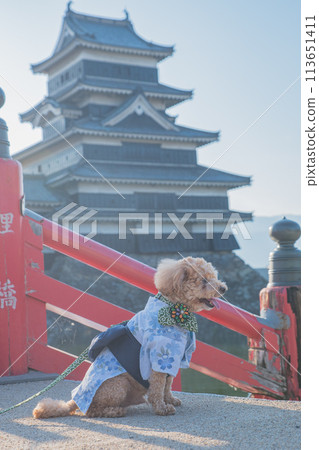 狗狗和松本城 113651411