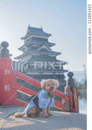 Dog and Matsumoto Castle 113651423
