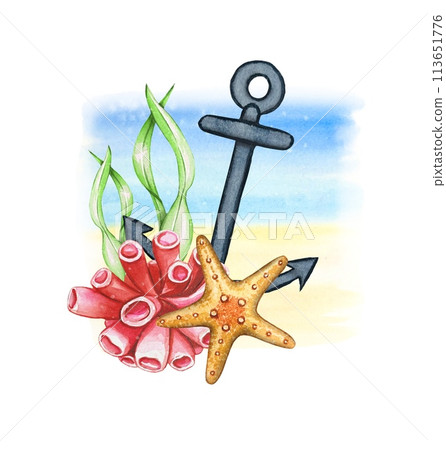 Marine composition with anchor, starfish and seaweed. Watercolor illustration 113651776