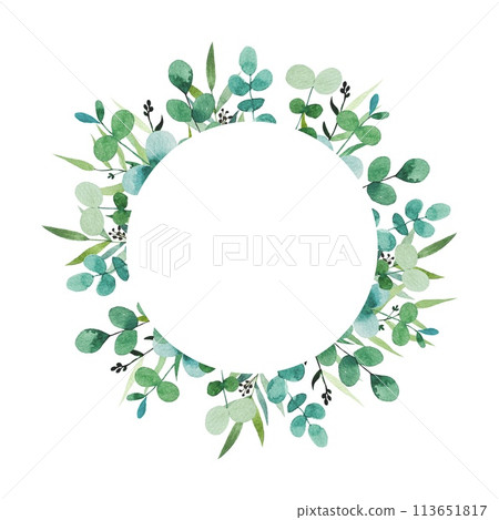 Watercolor frame, eucalyptus branches. Hand drawn botanical illustration isolated on white background. 113651817