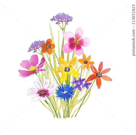 Hand drawn bouquet of meadow flowers, watercolor illustration Hand drawn bouquet of meadow flowers, watercolor illustration 113651823