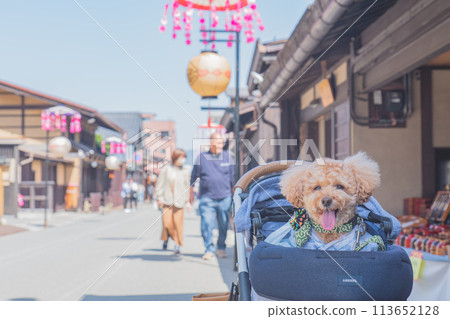 Walking with dogs in Hida Takayama Walking with dogs in Hida Takayama 113652128