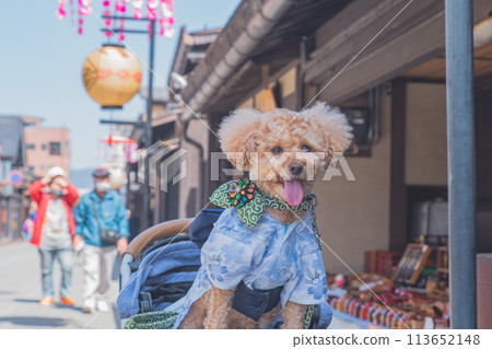 在飛驒高山與狗狗散步 在飛驒高山與狗狗散步 113652148