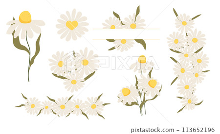 Set flower border daisy frames, floral decorations. Cute stickers, collection flowers petals, blossom with stem and leaves. Set flower border daisy frames, floral decorations. Cute stickers, collection flowers petals, blossom with stem and leaves. 113652196