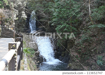 [Hyogo Prefecture] Arima Onsen, Tsuzumigataki Falls 113652747