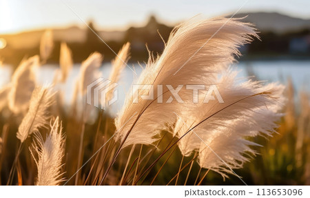 Radiant Reed Flowers Amidst Nature's Canvas - Generative AI 113653096