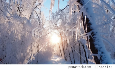 Frozen Trees and Sunny Winter Forest Landscape - Generative AI 113653138