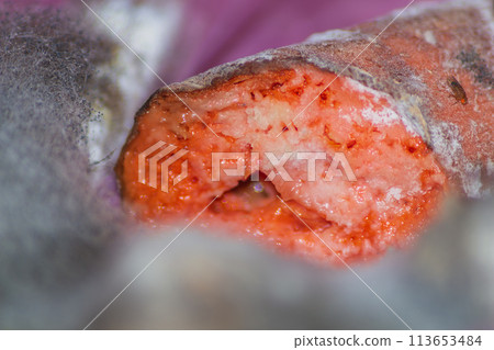 Carrots that have turned into a mucus-like viscous mass after being infected with putrefactive bacteria and being in favorable conditions for its reproduction Carrots that have turned into a mucus-like viscous mass after being infected with putrefactive bacteria and being in favorable conditions for its reproduction 113653484