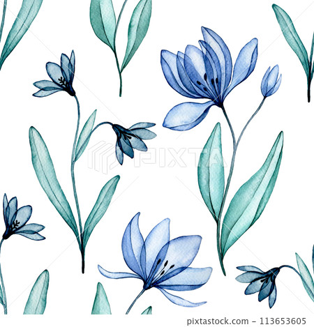 seamless pattern of transparent flowers, watercolor drawing. blue wildflowers, x-ray seamless pattern of transparent flowers, watercolor drawing. blue wildflowers, x-ray 113653605