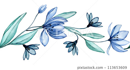 seamless border of transparent flowers, watercolor pattern. blue wildflowers, x-ray seamless border of transparent flowers, watercolor pattern. blue wildflowers, x-ray 113653609
