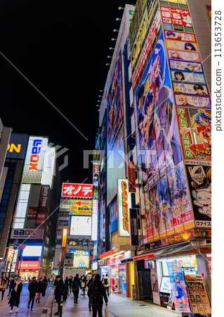 Tokyo Chiyoda Ward Akihabara Station area cityscape night view 113653728