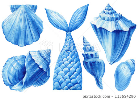 Blue summer set of seashells, isolated white background, watercolor hand-drawing, painting. Sea shells, Mermaid's tail 113654290