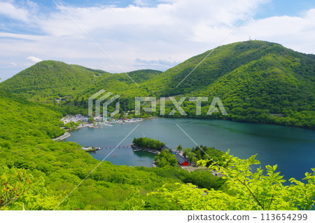 初夏的赤城大沼 113654299