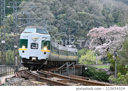 櫻花盛開時,日本國鐵381型系列擺錘快車沿著伯備線行駛。 櫻花盛開時,日本國鐵381型系列擺錘快車沿著伯備線行駛。 113654324