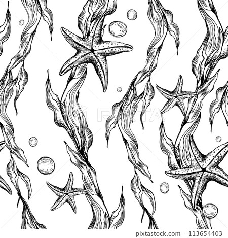 Underwater world clipart with sea animals, bubbles, starfish and algae. Graphic illustration hand drawn in black ink. Seamless pattern EPS vector. 113654403