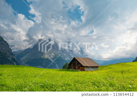 View on the alpine valley Grindelwald. Jungfrau, Switzerland. Under the Bernese alps. Mountain village. View on the alpine valley Grindelwald. Jungfrau, Switzerland. Under the Bernese alps. Mountain village. 113654412