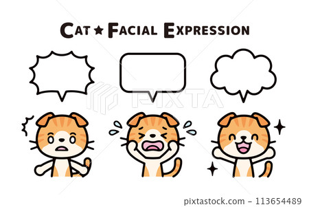Set of illustrations of Scottish Fold with various expressions and speech bubbles 113654489